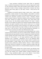 Viduramžiai technikos istorijoje 13 puslapis