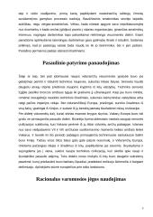 Viduramžiai technikos istorijoje 5 puslapis