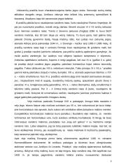 Viduramžiai technikos istorijoje 6 puslapis