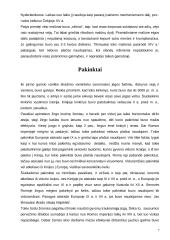 Viduramžiai technikos istorijoje 7 puslapis