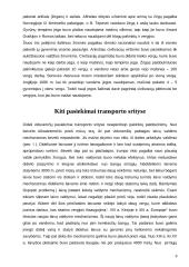 Viduramžiai technikos istorijoje 8 puslapis