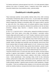 Viduramžiai technikos istorijoje 10 puslapis