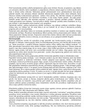 Pliuralizmo, naujosios dešinės, elitizmo, marksizmo ir neopliuralizmo požiūris į politikos formavimo procesą bei rinkėjų vaidmenį jame 2 puslapis