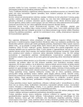 Pliuralizmo, naujosios dešinės, elitizmo, marksizmo ir neopliuralizmo požiūris į politikos formavimo procesą bei rinkėjų vaidmenį jame 3 puslapis