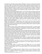 Pliuralizmo, naujosios dešinės, elitizmo, marksizmo ir neopliuralizmo požiūris į politikos formavimo procesą bei rinkėjų vaidmenį jame 5 puslapis