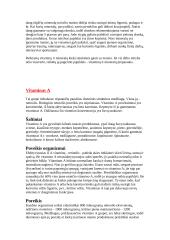 Vitaminai ir mineralai 2 puslapis