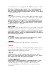 Vitaminai ir mineralai 16 puslapis