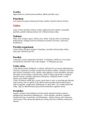 Vitaminai ir mineralai 20 puslapis