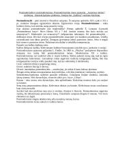 XX amžiaus užsienio literatūros raidos ypatumai 5 puslapis