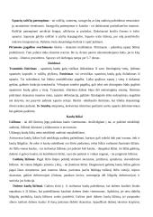 Žmogaus sandara. Pirmoji pagalba 13 puslapis