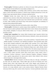 Žmogaus sandara. Pirmoji pagalba 15 puslapis