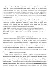 Žmogaus sandara. Pirmoji pagalba 18 puslapis