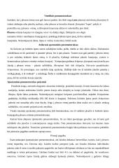 Žmogaus sandara. Pirmoji pagalba 19 puslapis