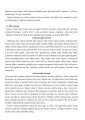 Žmogaus sandara. Pirmoji pagalba 20 puslapis