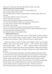 Žmogaus sandara. Pirmoji pagalba 3 puslapis