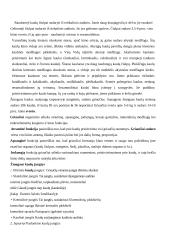 Žmogaus sandara. Pirmoji pagalba 4 puslapis