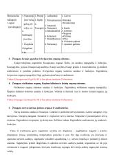 Žmogaus sandara. Pirmoji pagalba 6 puslapis