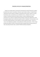 Grindų įrengimo technologinis projektas 12 puslapis