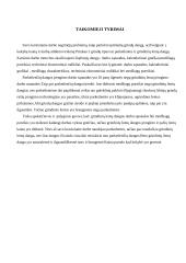 Grindų įrengimo technologinis projektas 13 puslapis