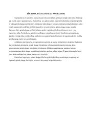 Grindų įrengimo technologinis projektas 14 puslapis