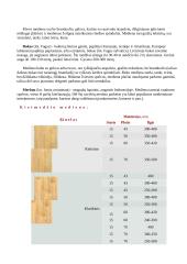 Grindų įrengimo technologinis projektas 3 puslapis