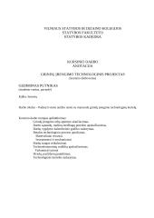 Grindų įrengimo technologinis projektas 9 puslapis