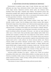 Pastato rekonstrukcija 12 puslapis