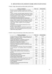 Pastato rekonstrukcija 13 puslapis