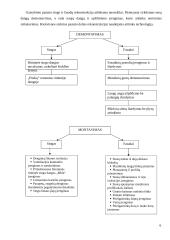 Pastato rekonstrukcija 6 puslapis
