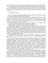 Vindikacinis ieškinys. Referatas 6 puslapis