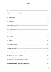 Putų stiklo granulių gamybos cechas 2 puslapis