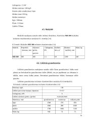 Putų stiklo granulių gamybos cechas 16 puslapis