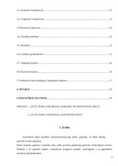 Putų stiklo granulių gamybos cechas 3 puslapis