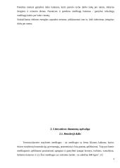 Putų stiklo granulių gamybos cechas 4 puslapis