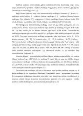 Putų stiklo granulių gamybos cechas 5 puslapis