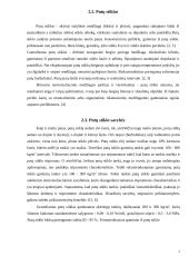 Putų stiklo granulių gamybos cechas 7 puslapis