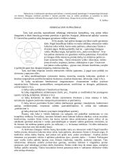 Rekreacinė architekūra 2 puslapis