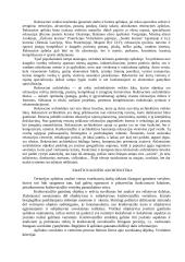 Rekreacinė architekūra 3 puslapis