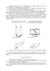 Rekreacinė architekūra 7 puslapis