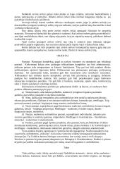 Rekreacinė architekūra 8 puslapis