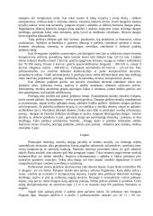 Rekreacinė architekūra 9 puslapis