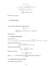 Sijų ir kolonų projektavimas 18 puslapis