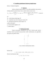 Sijų ir kolonų projektavimas 20 puslapis