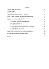 Elektroninių detalių gamybos statybos organizavimas 2 puslapis