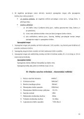 Elektroninių detalių gamybos statybos organizavimas 13 puslapis