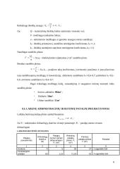 Elektroninių detalių gamybos statybos organizavimas 7 puslapis