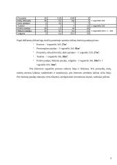 Elektroninių detalių gamybos statybos organizavimas 8 puslapis