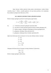 Elektroninių detalių gamybos statybos organizavimas 10 puslapis