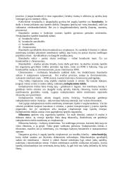 Ląstelė, jos organoidai bei jų funkcijos. Referatas 3 puslapis
