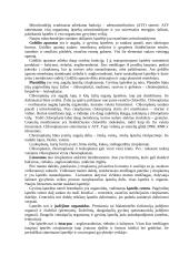Ląstelė, jos organoidai bei jų funkcijos. Referatas 4 puslapis